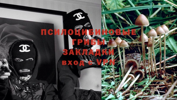 герыч Надым