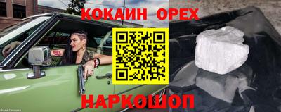 крисы Будённовск