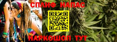 крисы Будённовск
