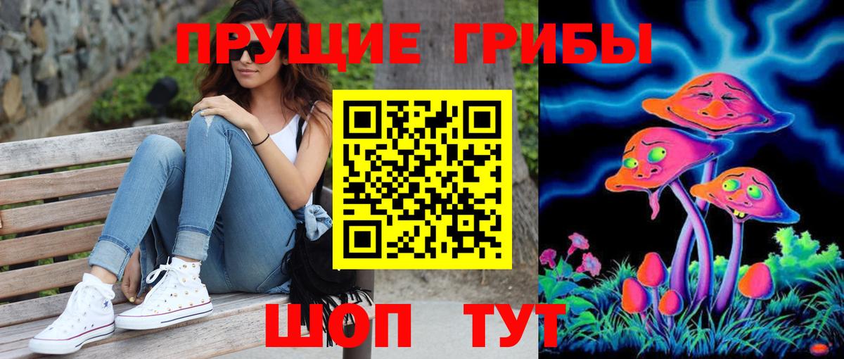 Галлюциногенные грибы Psilocybine cubensis Реутов
