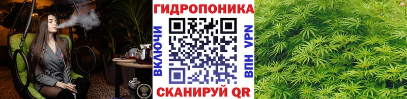 Каннабис план Реутов